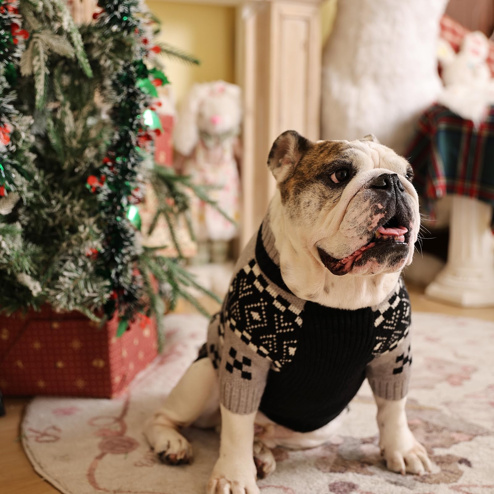 ROZKITCH suéter para fiestas y sesiones de fotos caninas