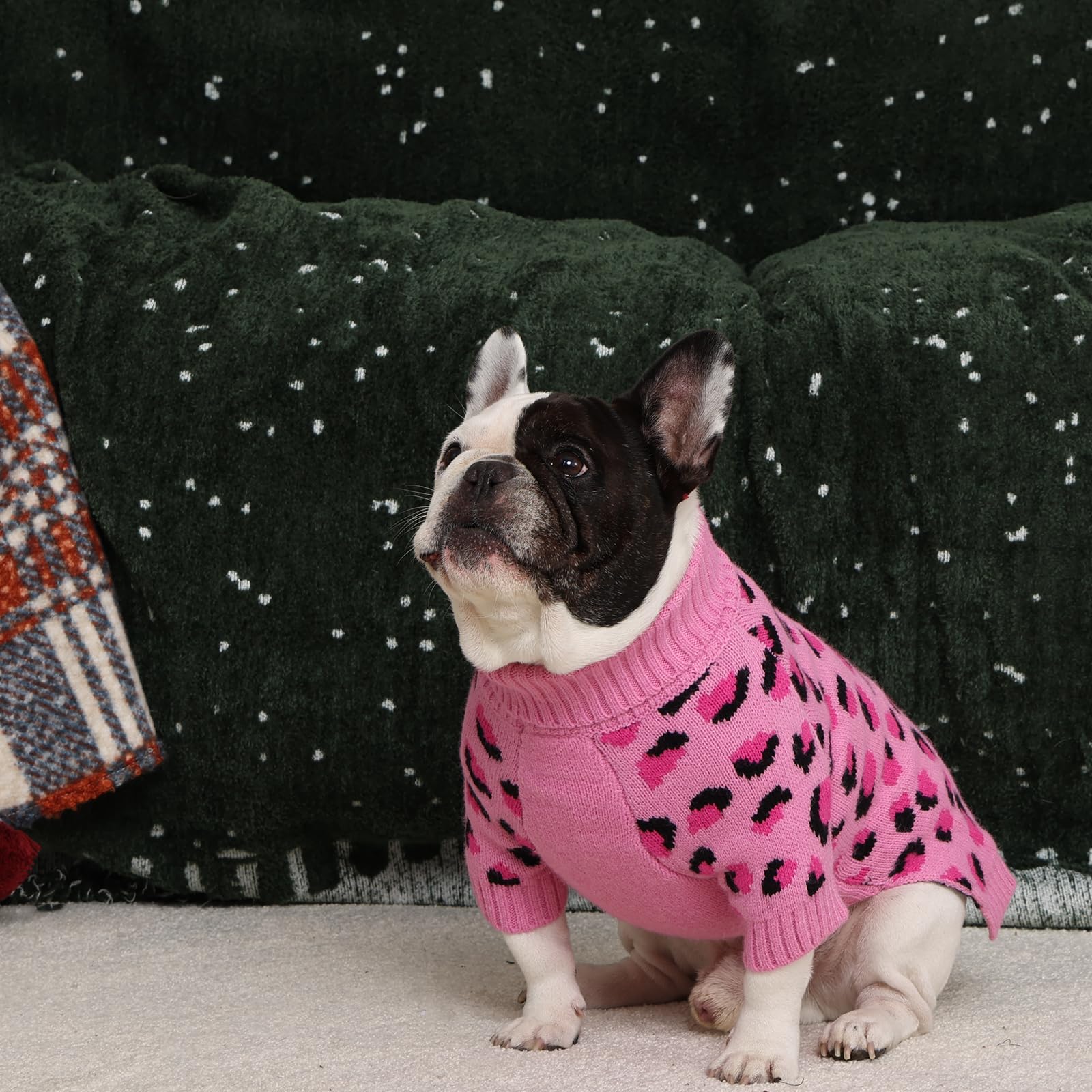 ROZKITCH suéter rosa para perros, ideal para días fríos y estilo