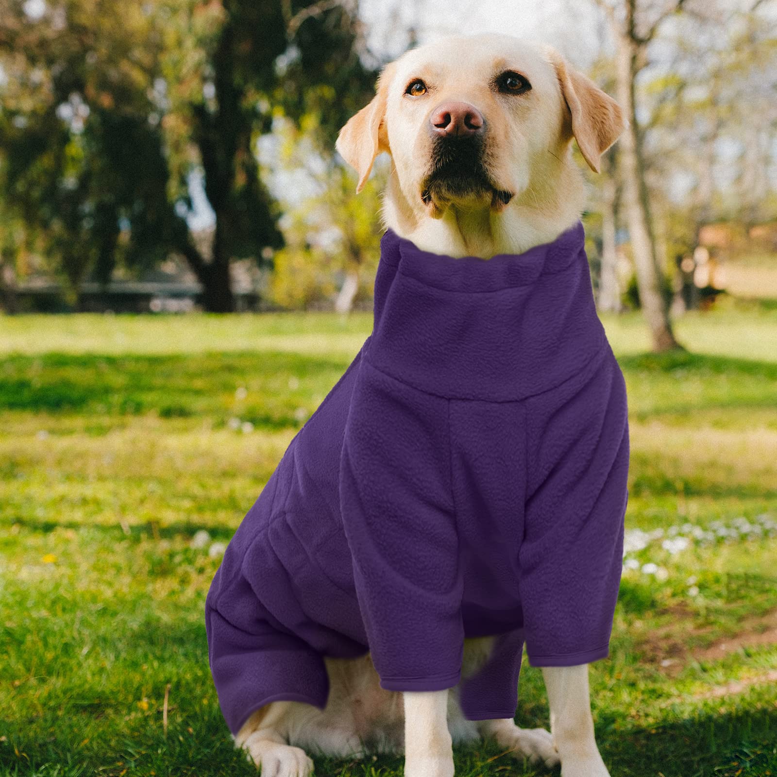 ROZKITCH tallas 2xs-4xl para perros pequeños y grandes