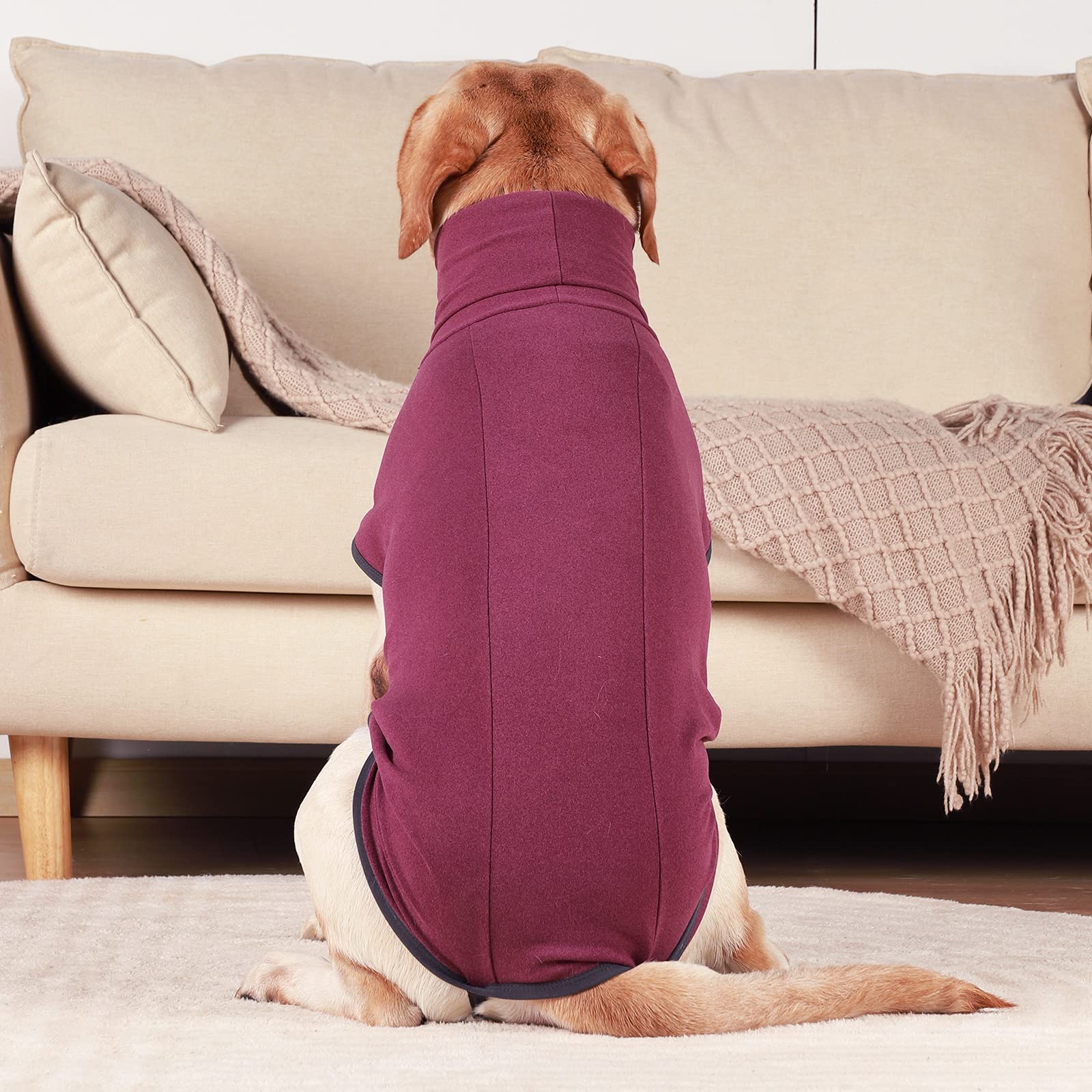 ROZKITCH uso diario, ideal para paseos y descanso en interiores.