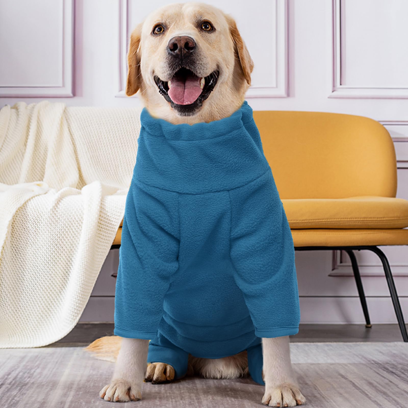 ROZKITCH uso para paseos, correr y senderismo con perros.