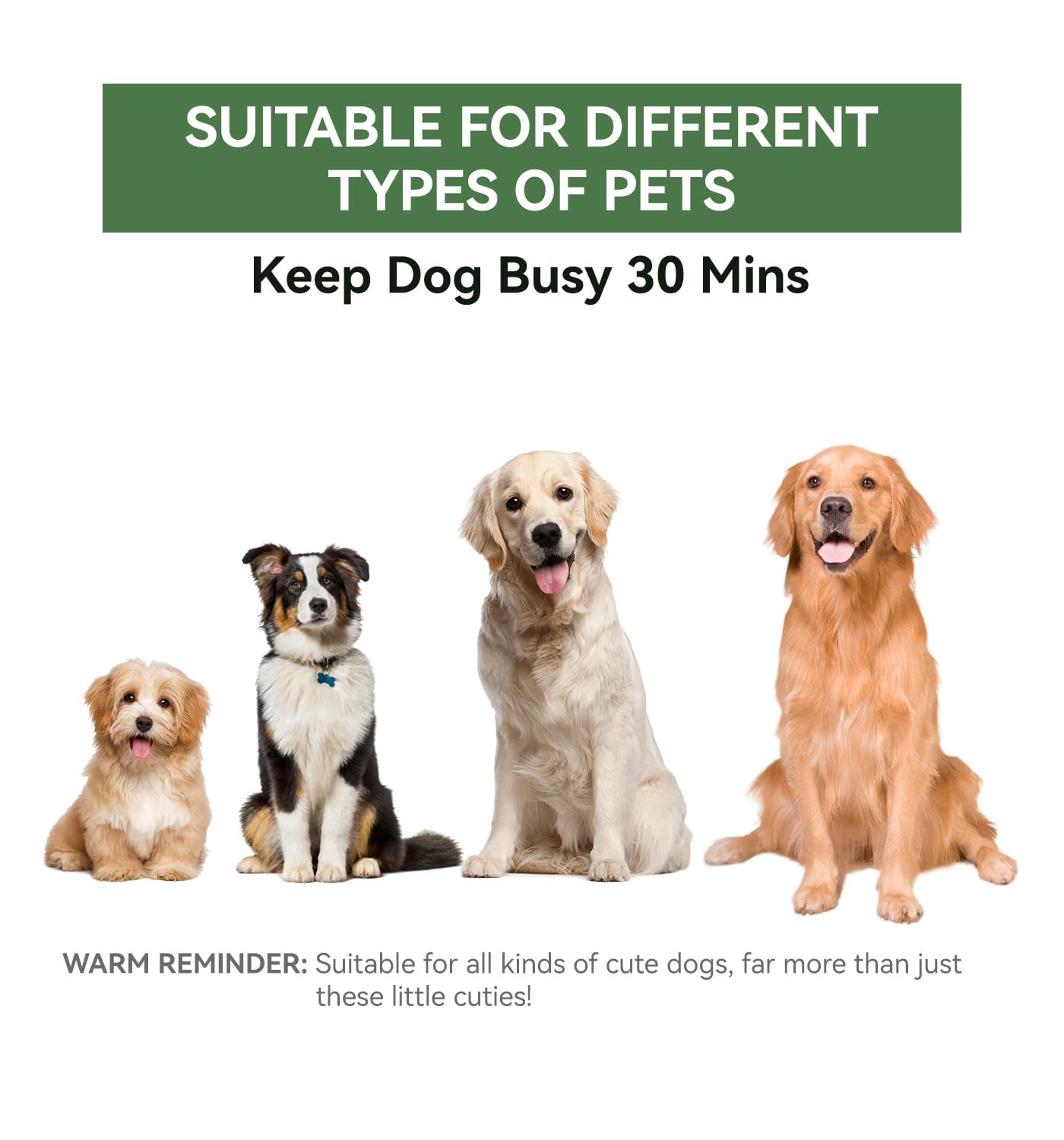 RQYUNMXI Pupsicles: Juguete-limpieza-facil, limpieza rápida tras cada uso
