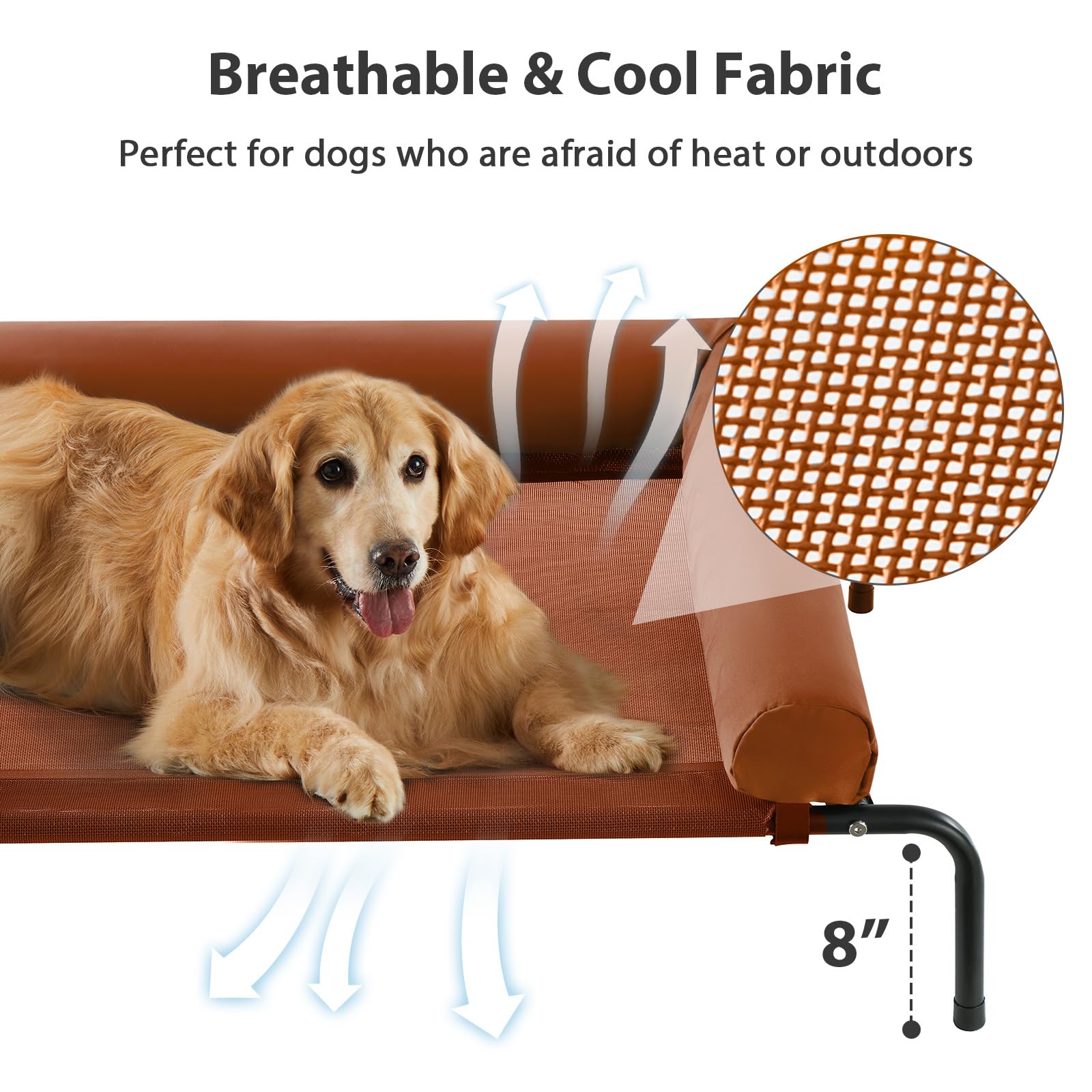 Pies antideslizantes de la cama para perros RRPETHOME protegiendo el suelo