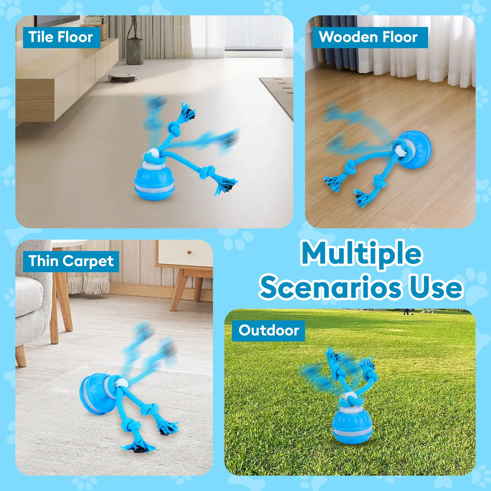 Regalo ideal de R RUCKERCO para perros activos.