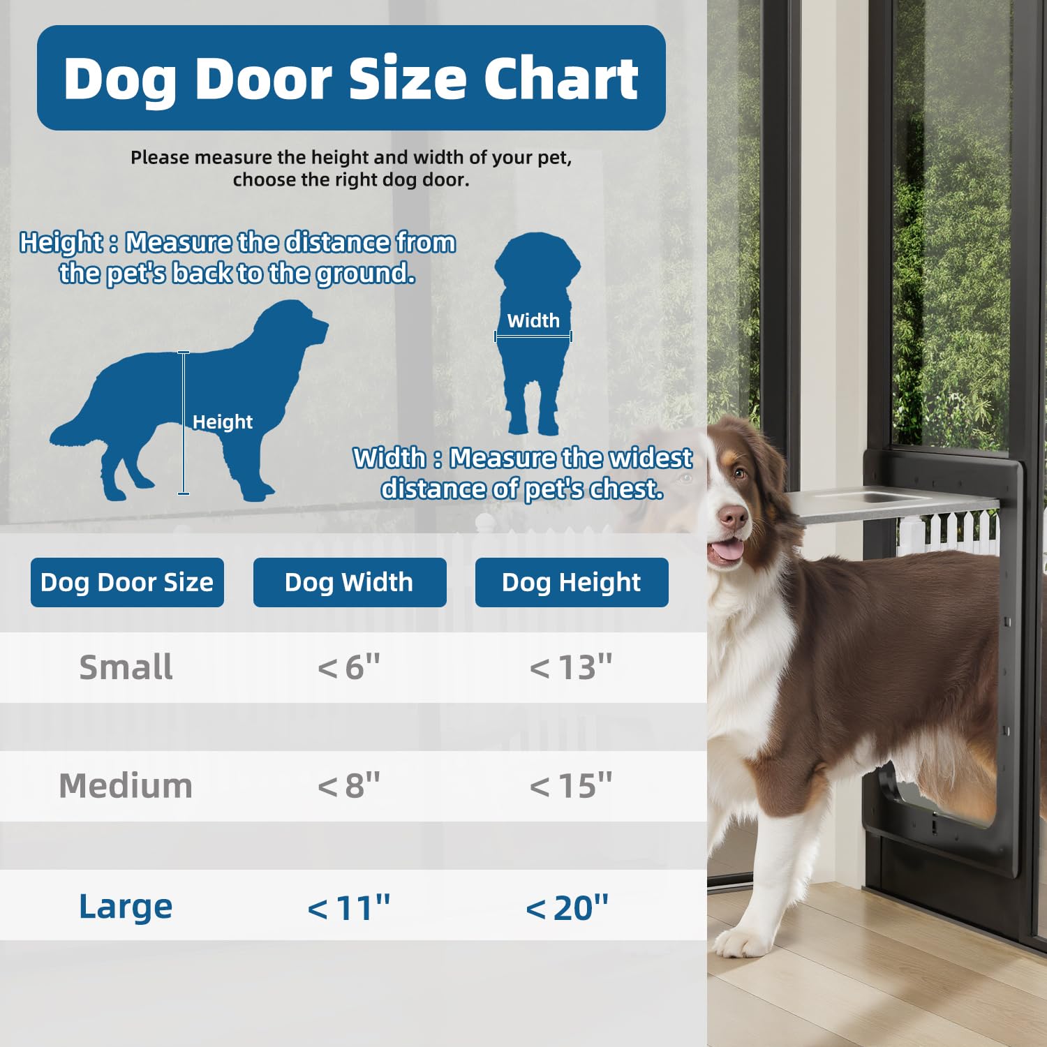 Solución de acceso para patio RSEORD mejora la experiencia de tus mascotas.