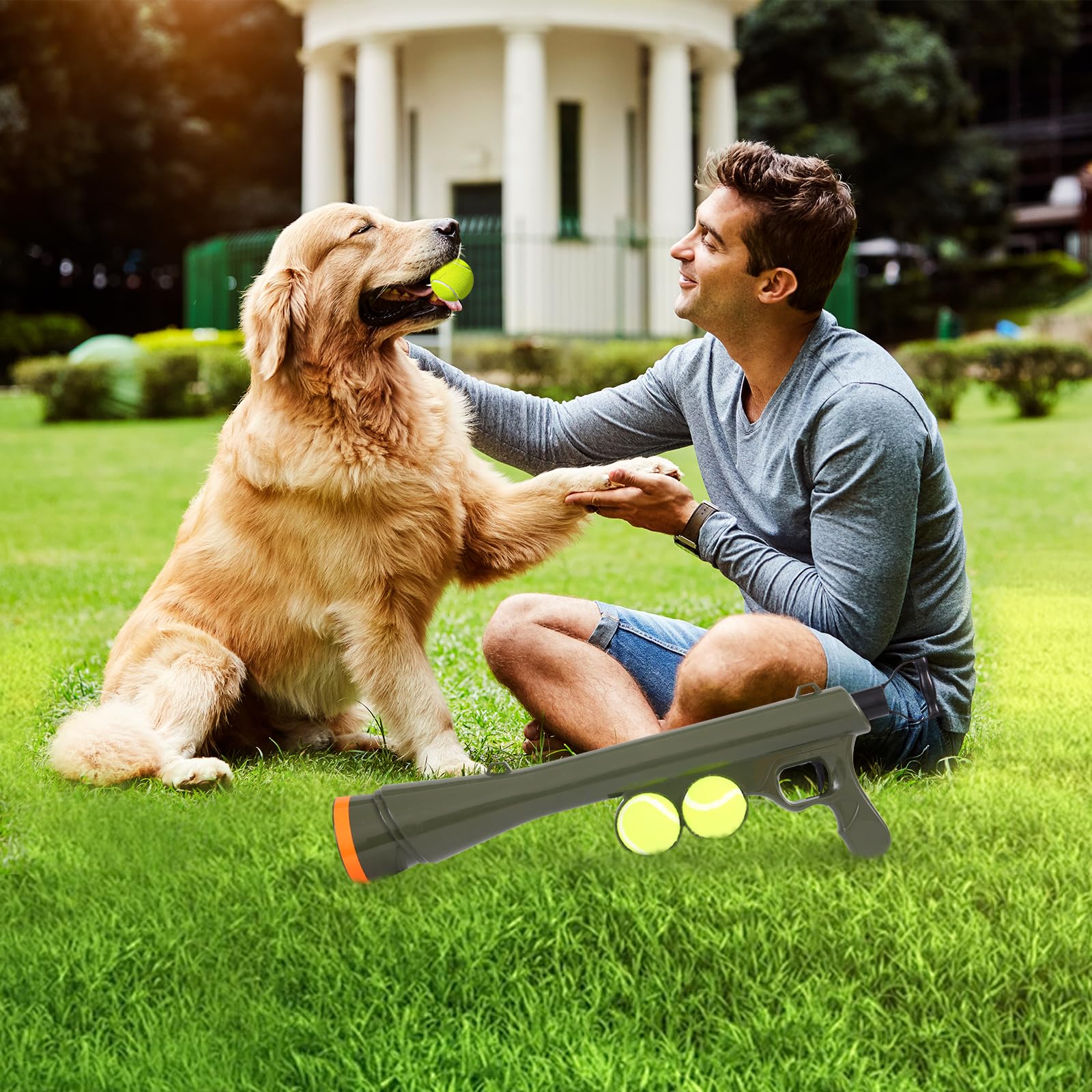 Perro jugando al aire libre con el lanzador RSSLygaeonix