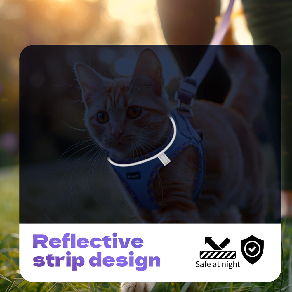 Rttochfy correa gato reflectante para paseos diurnos y nocturnos seguros.