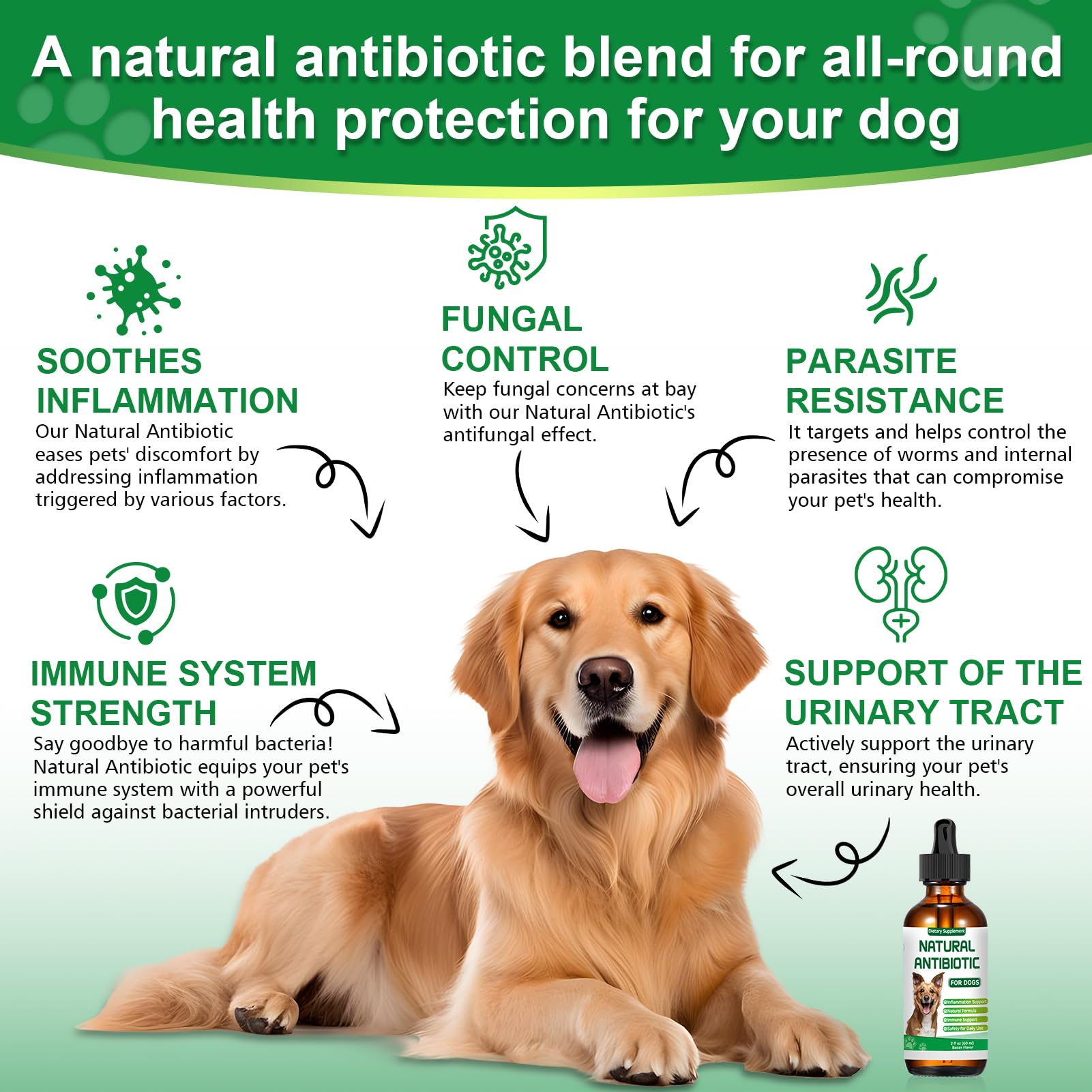 RUAKPL Equinácea natural para perros mejora la respuesta inmunitaria potencial.