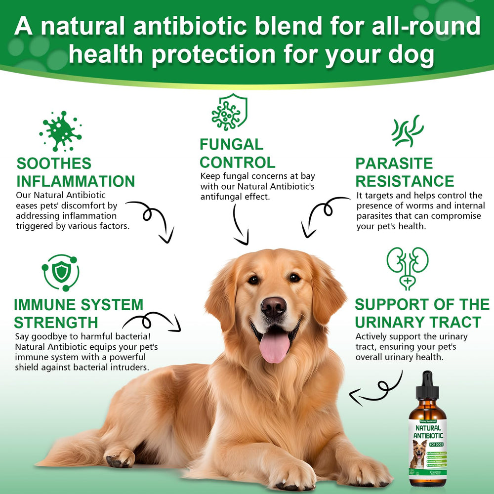 RUAKPL Equinácea natural para perros mejora la respuesta inmunitaria potencial.