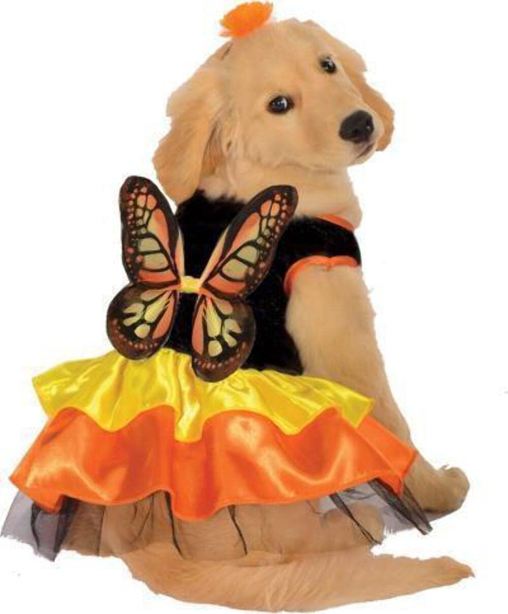 Disfraz Rubies de mariposa para mascota con vestido y alas, ideal para Halloween y fiestas