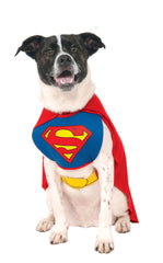 Disfraz de Rubies Superman para mascotas con capa roja, ideal para fiestas y sesiones de fotos.