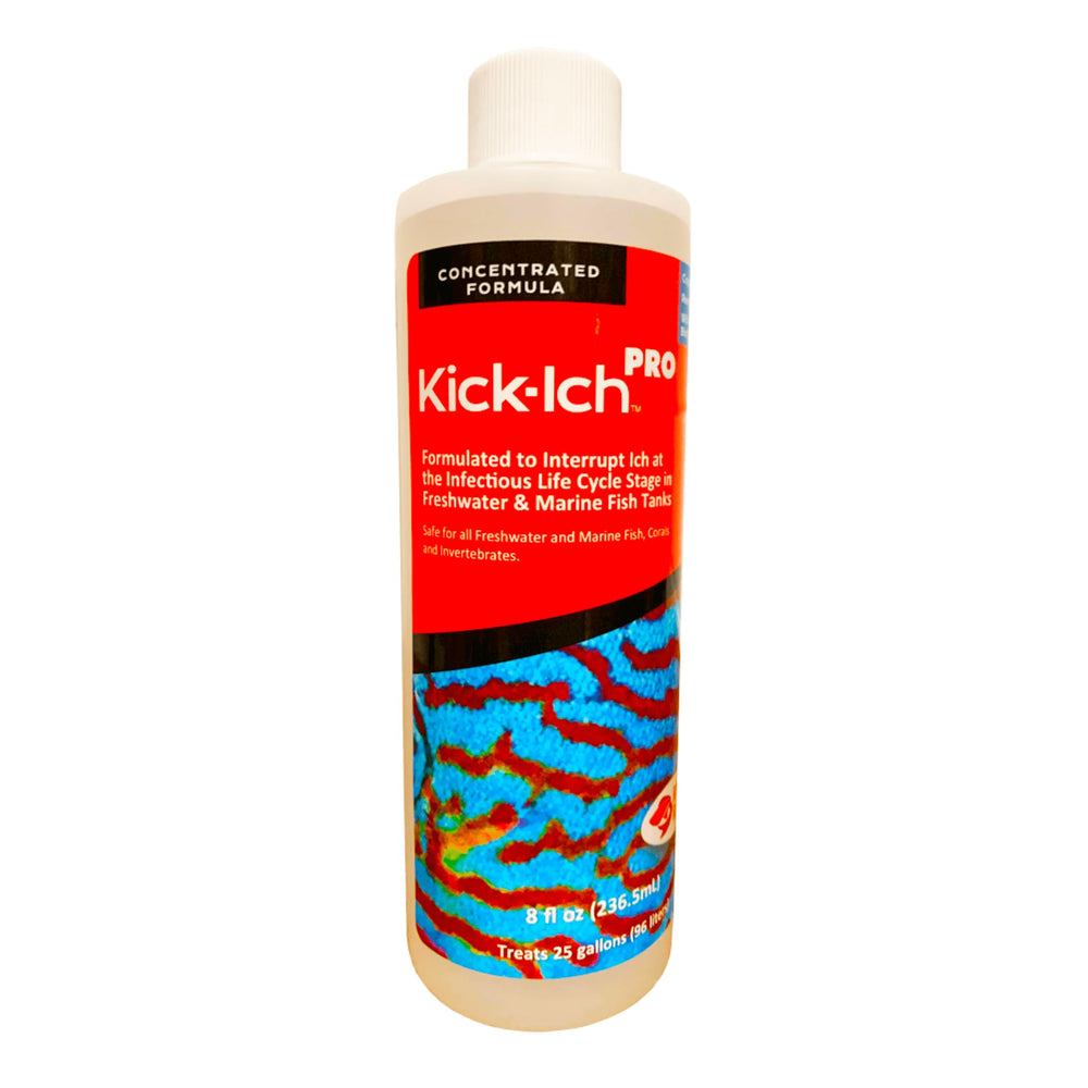 Ruby Reef Kick-ICH Pro, frasco de 8 oz, facilita la dosificación para acuarios.