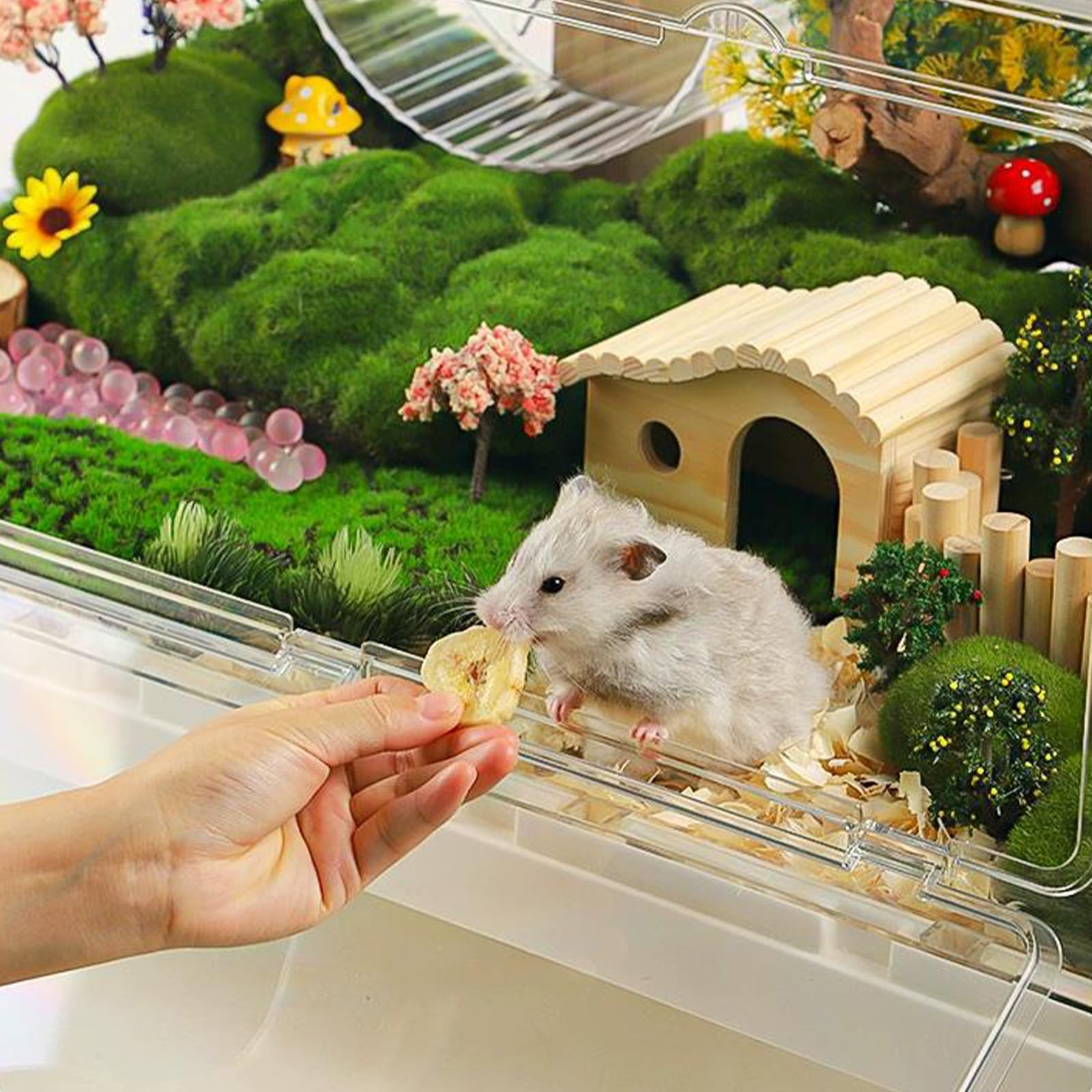 Ruexue jaula de acrílico transparente para mascotas pequeñas.