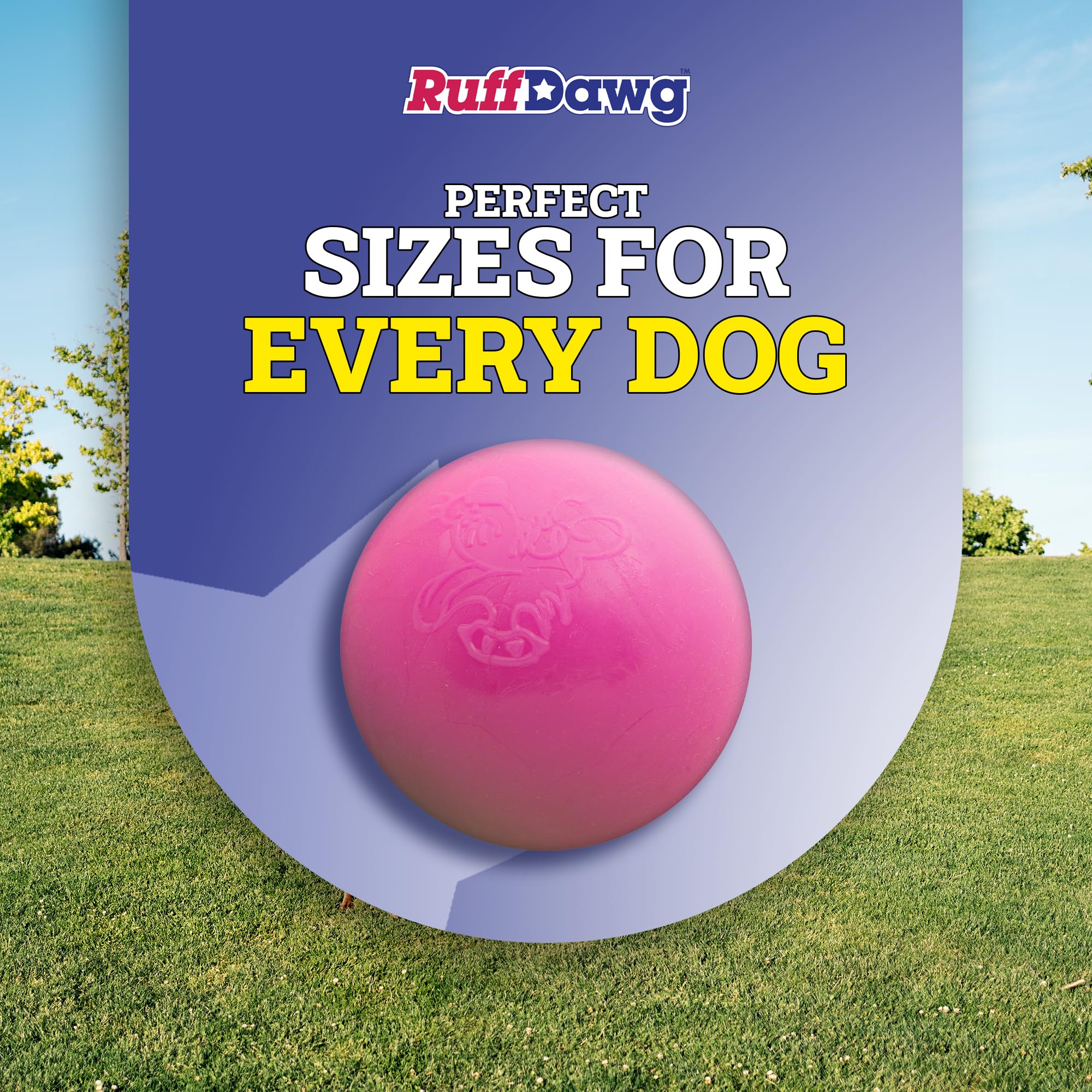 Ruff Dawg Ball XL en morado neón, fomenta actividad física al exterior.