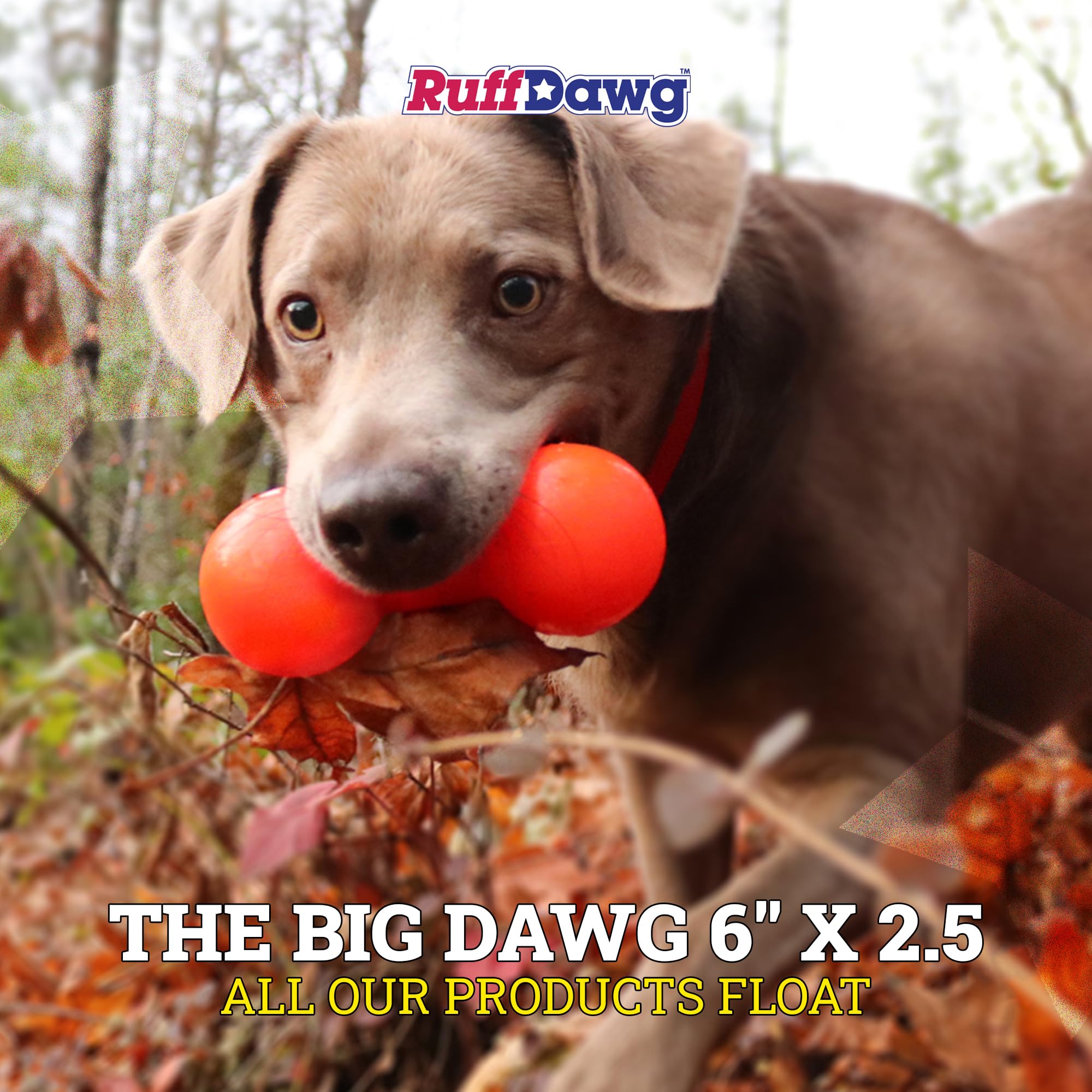 Ruff Dawg Big Dawg: uso exterior para ejercicio y juego de buscar