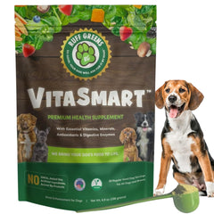 Ruff Greens, polvo probiótico digestivo para perros que apoya la salud intestinal.