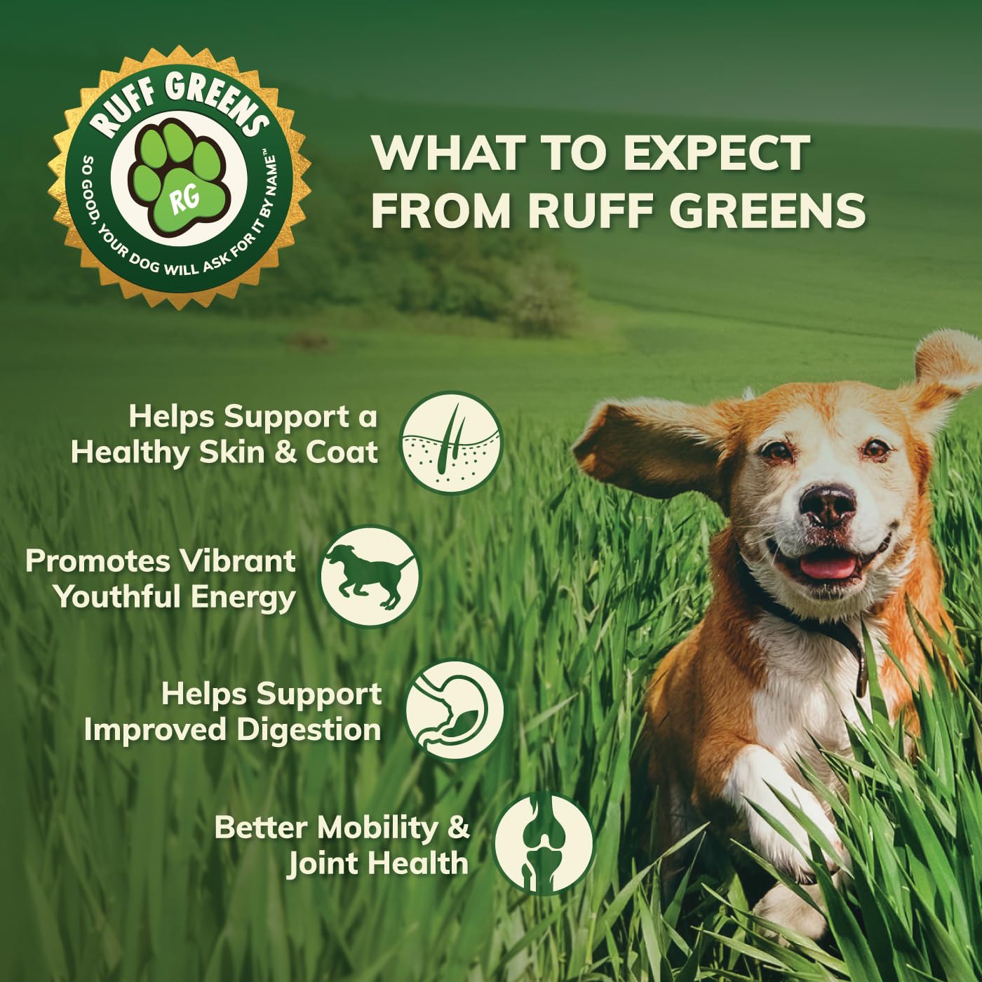 Ruff Greens, vitaminas y minerales que respaldan la vitalidad de tu perro.