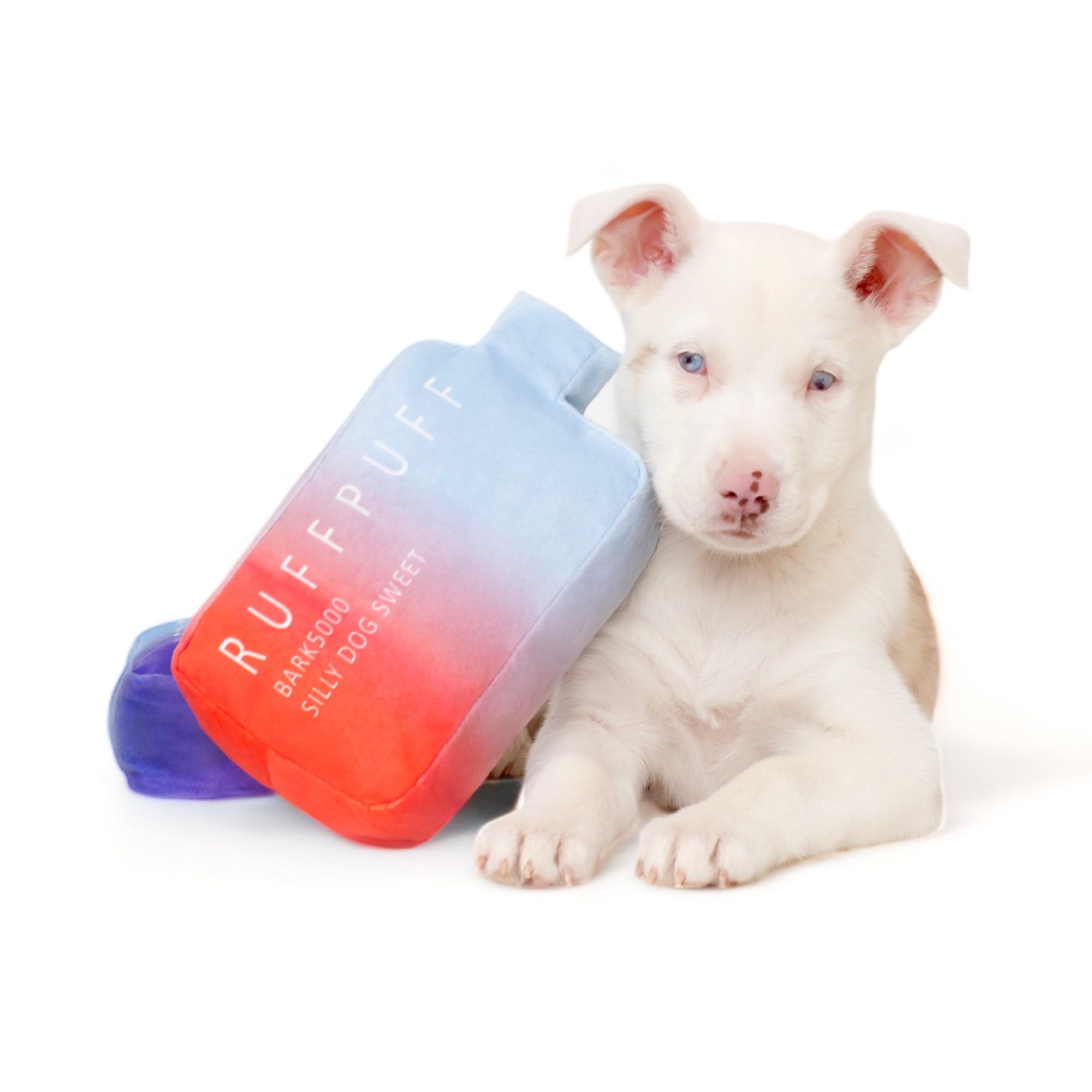 RUFF PUFF Regalo ideal para cumpleaños de tu perro