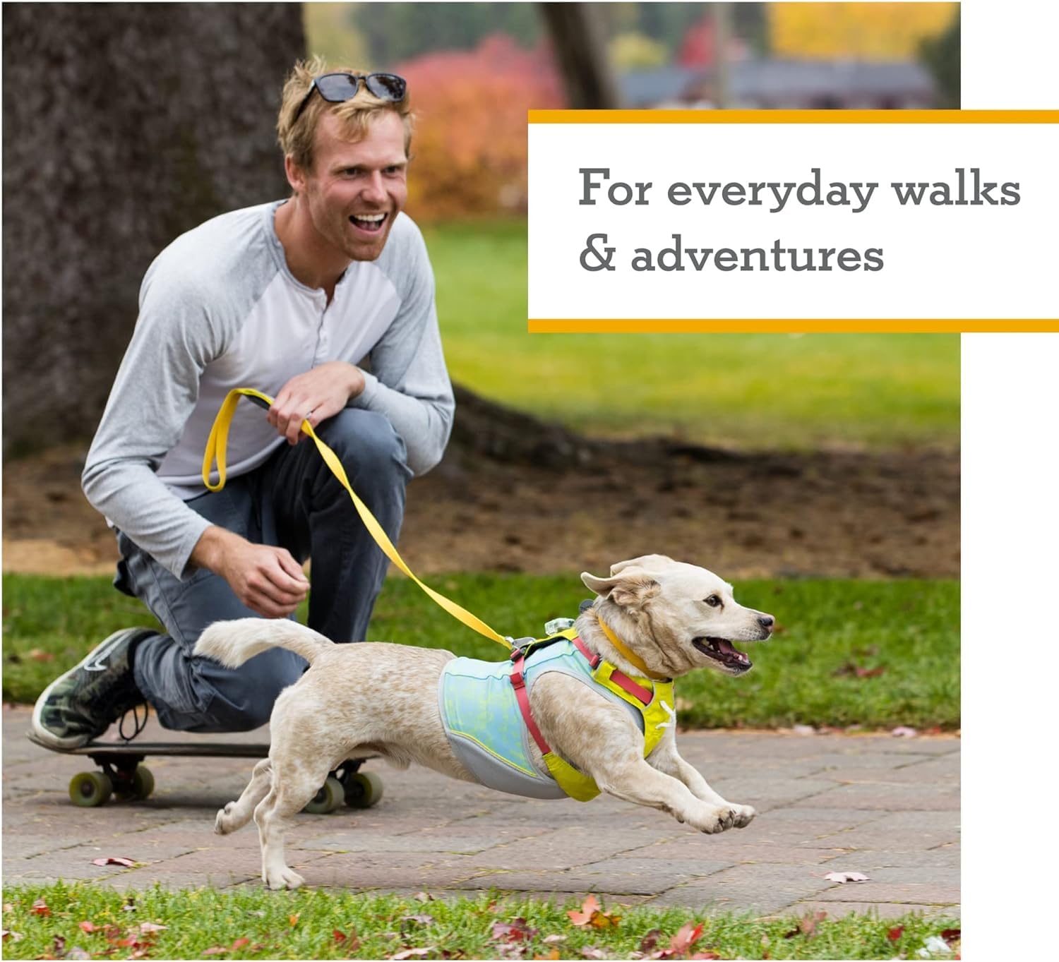 Ruffwear arnés ligero ajuste seguro para perros en movimiento.