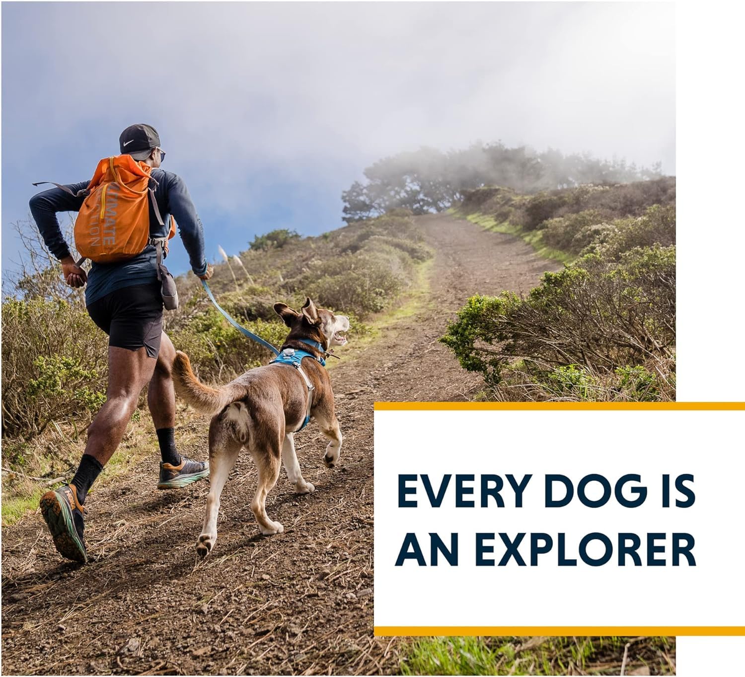 Ruffwear arnés ligero comodidad todo el día para perros activos.