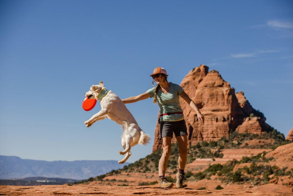 Ruffwear Camp Flyer, colores brillantes y alto contraste para seguirlo