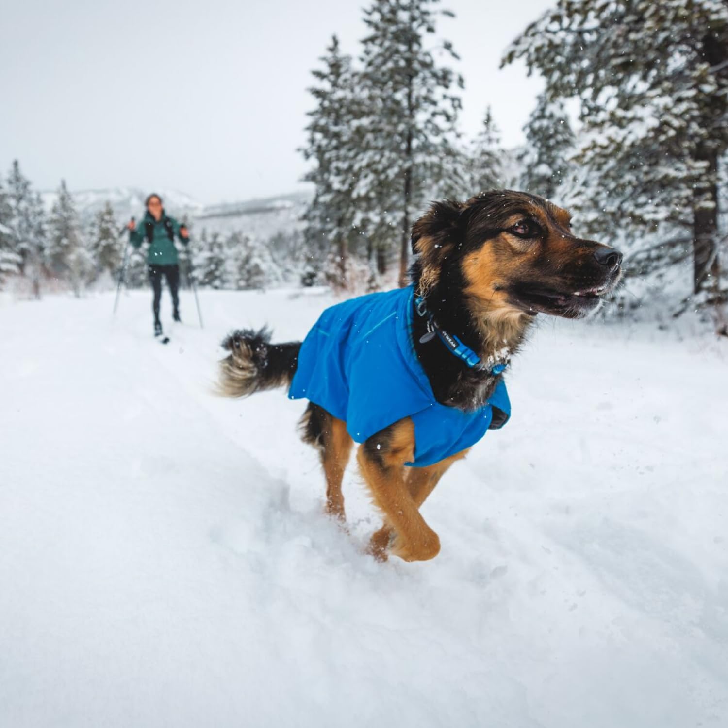 Ruffwear Collar con silenciador de etiqueta integrado para paseos tranquilos.
