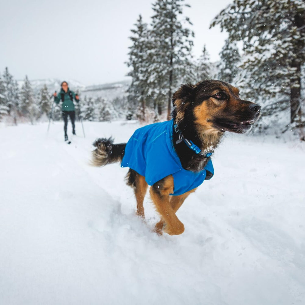 Ruffwear Collar con silenciador de etiqueta integrado para paseos tranquilos.