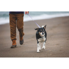 Ruffwear Front Range, asidero de tráfico para control rápido.