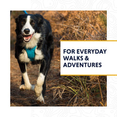 Ruffwear Front Range, bucle para accesorios, acceso rápido a suministros.