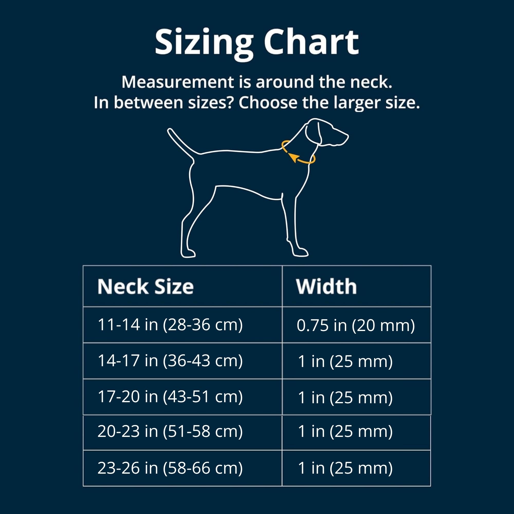 Ruffwear Collar Web Reaction: cinta Tubelok para durabilidad y comodidad.