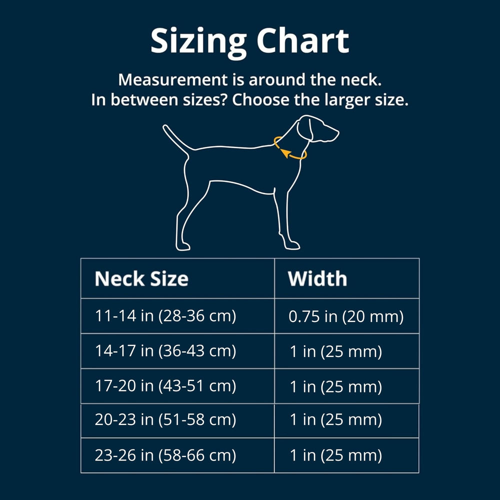 Ruffwear Collar Web Reaction: cinta Tubelok para durabilidad y comodidad.