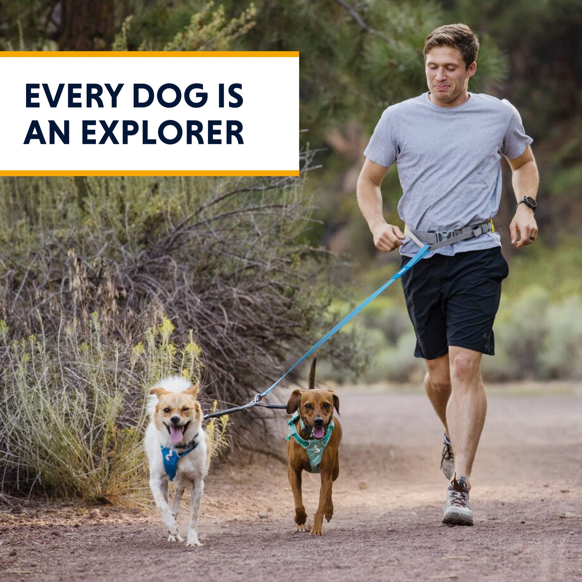 Ruffwear para caminatas y senderos, mantiene dos perros coordinados y cómodos.