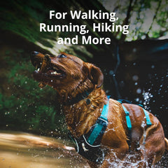 Ruffwear Flagline, panel abdominal acolchado para mayor confort.