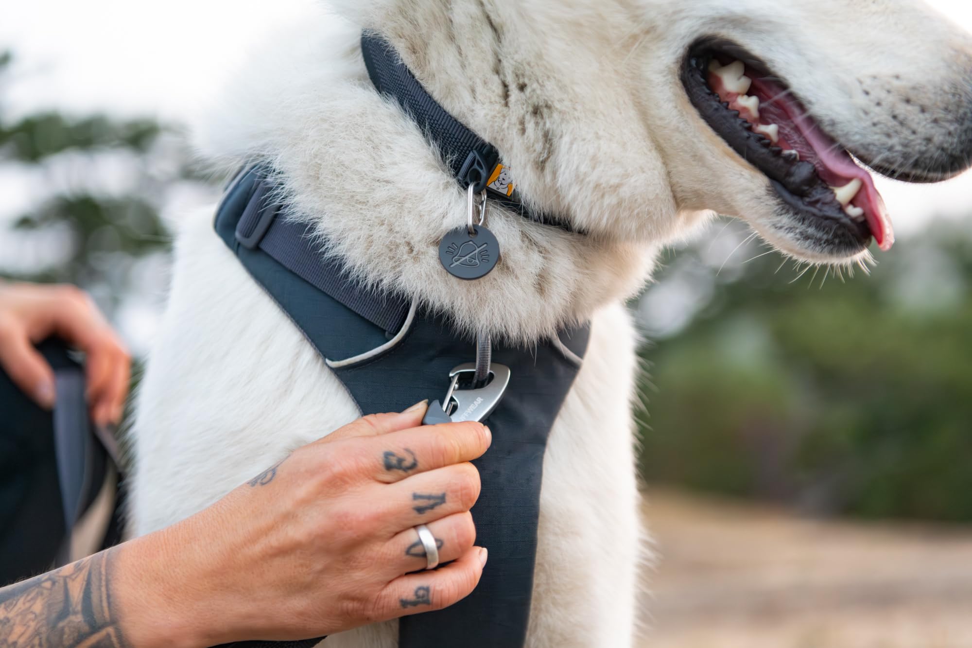 Ruffwear Front Range ajuste adaptable para todas las razas