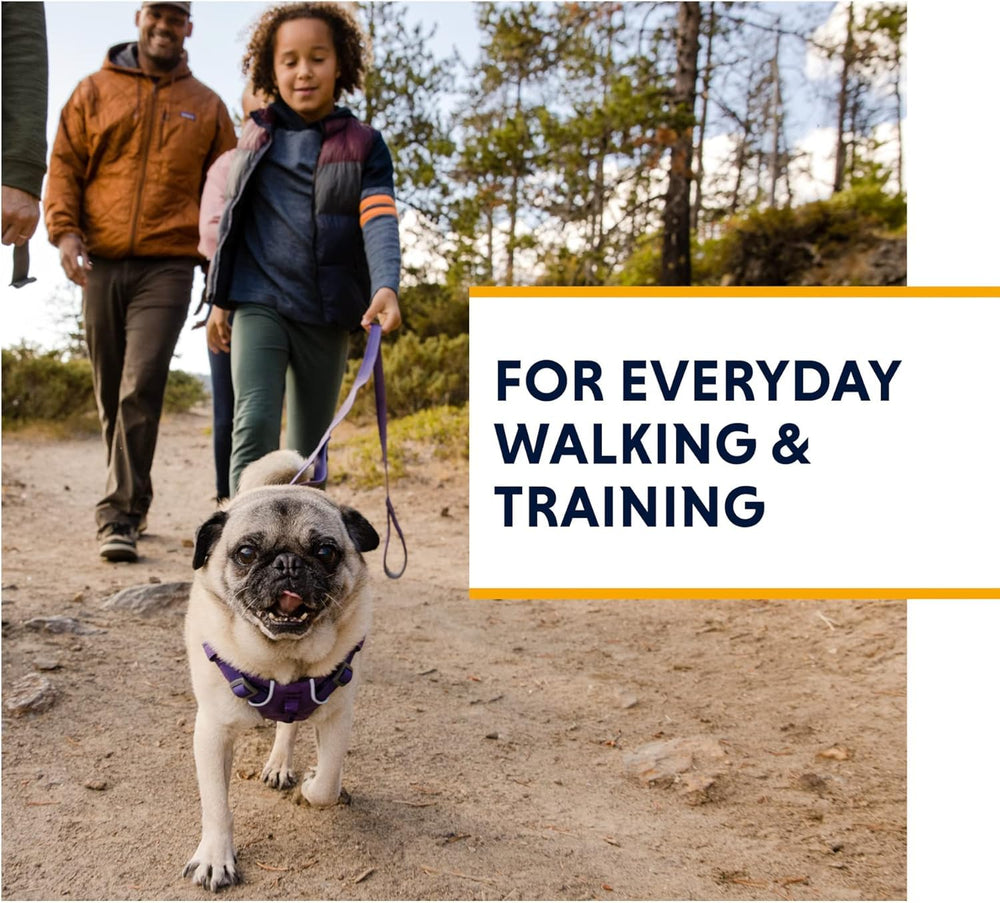 Ruffwear Front Range: ajuste de cuatro puntos para perros diversos.