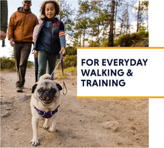Ruffwear Front Range: ajuste de cuatro puntos para perros diversos.