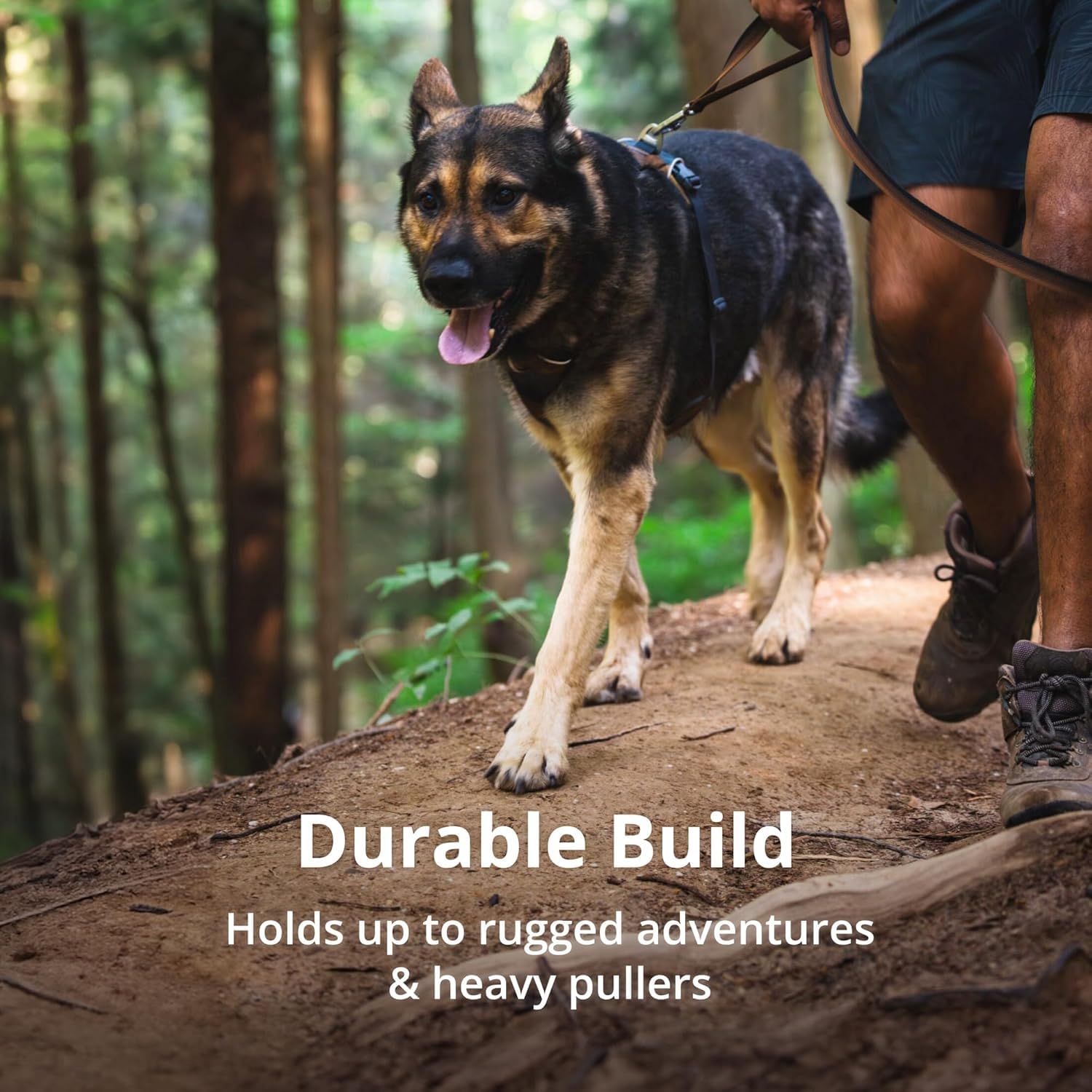 Ruffwear Front Range arnés guía de tallas para ajuste cómodo