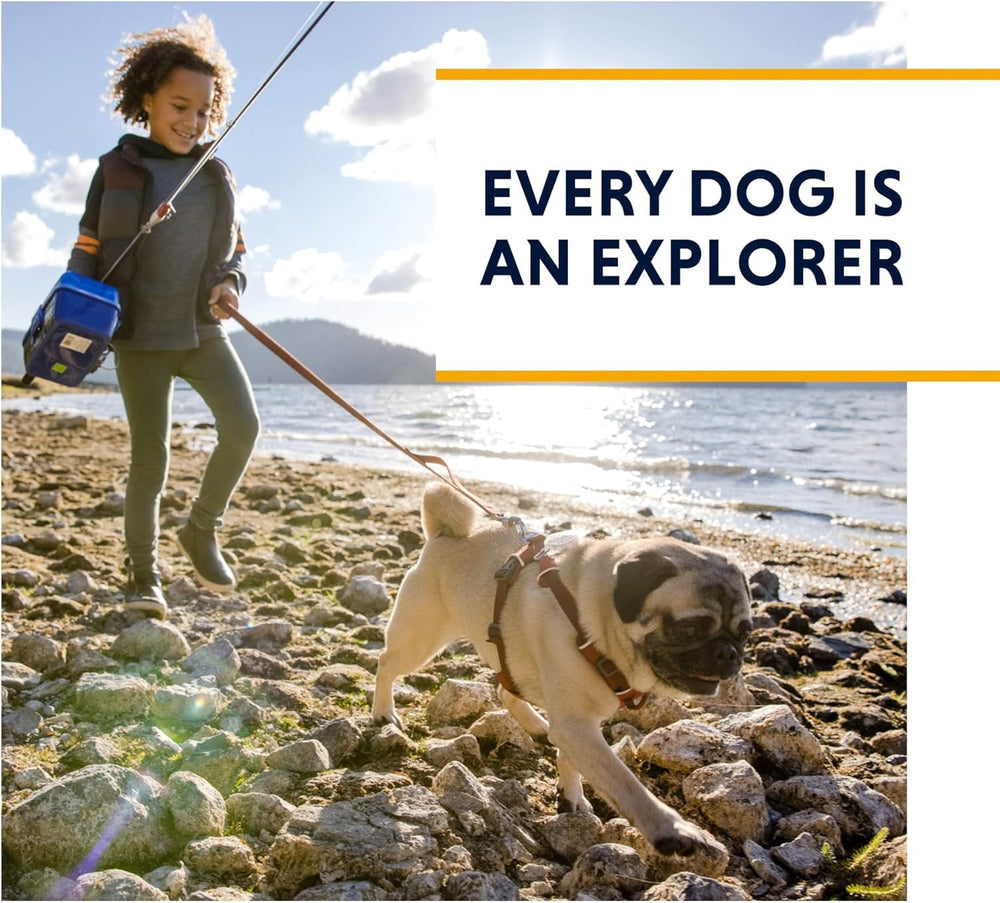 Ruffwear Front Range: lazo para la luz de señal mejora la visibilidad.
