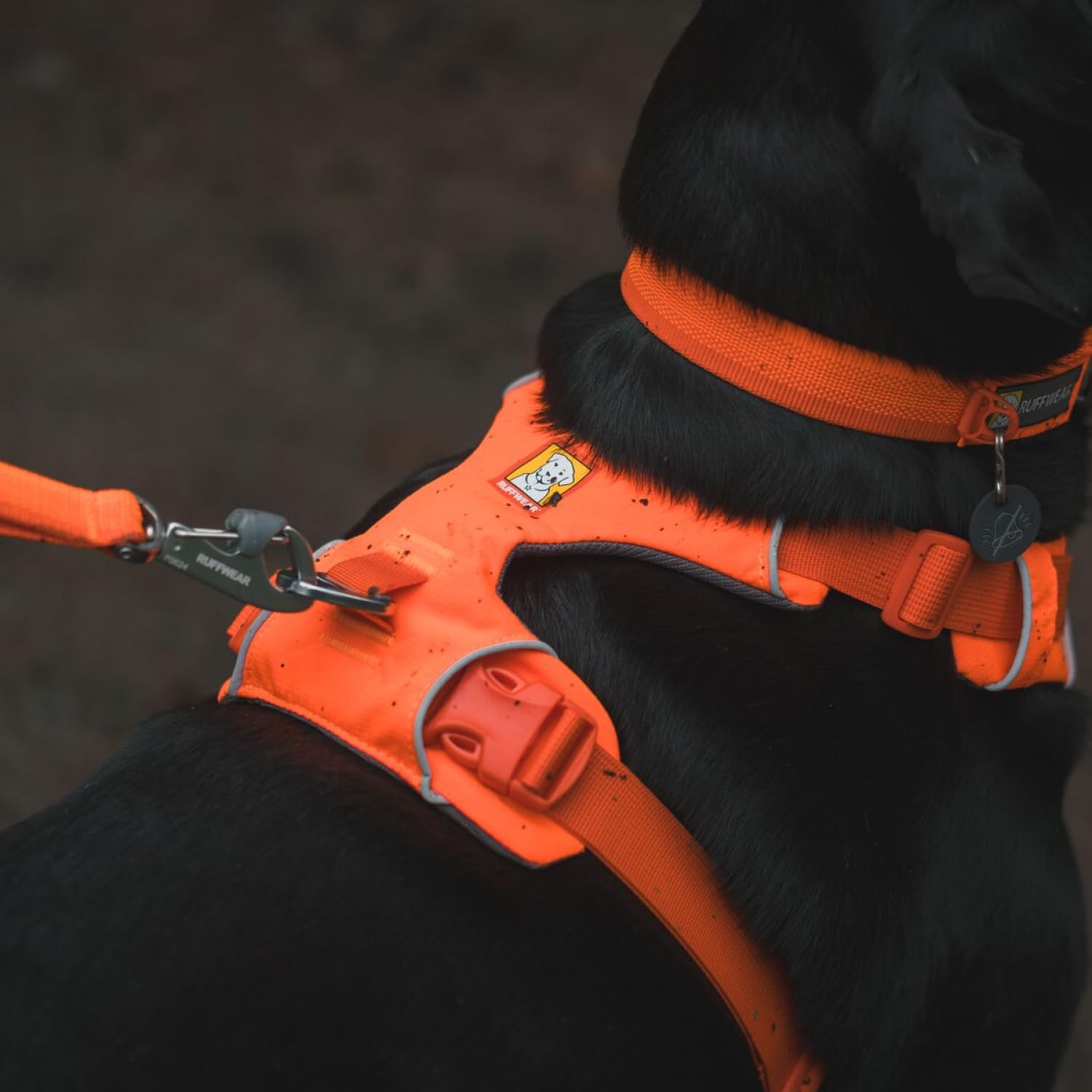 Ruffwear Front Range arnés con detalles reflectivos para visibilidad nocturna