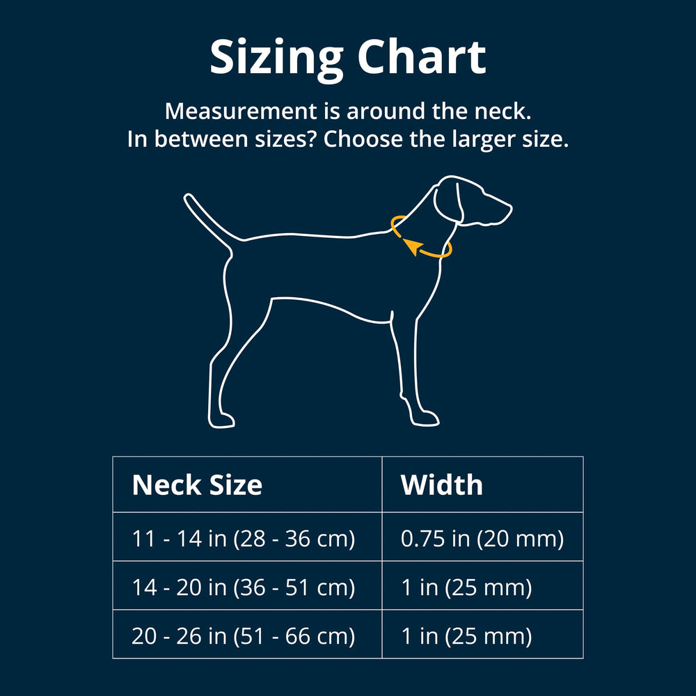 Ruffwear Front Range Collar hebilla lateral: ajuste seguro y rápido para cualquier talla