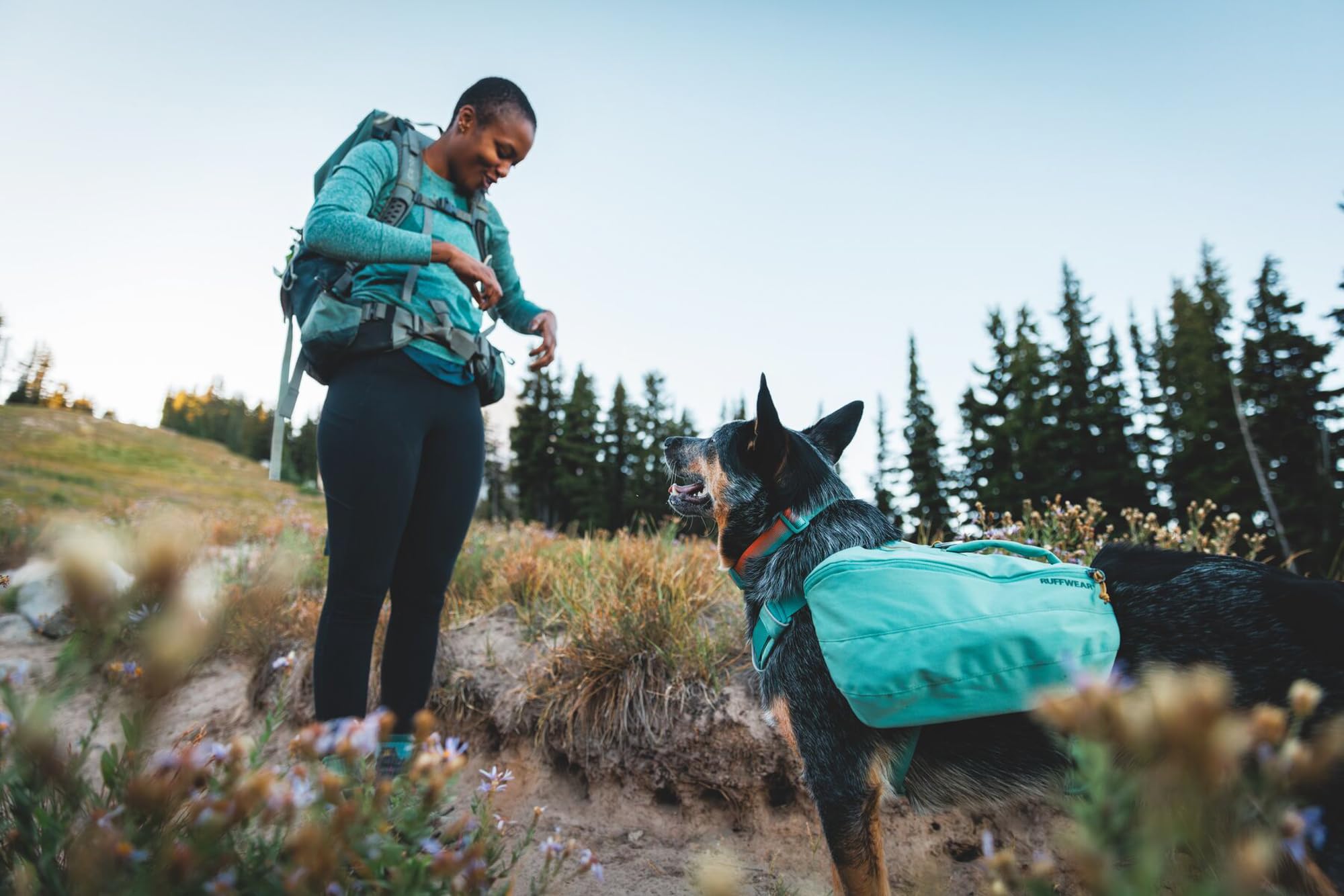 Ruffwear Front Range Collar silenciador de etiquetas reduce ruidos en paseos nocturnos.