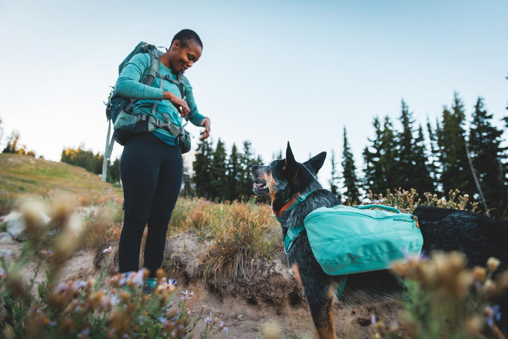 Ruffwear Front Range Collar silenciador de etiquetas reduce ruidos en paseos nocturnos.