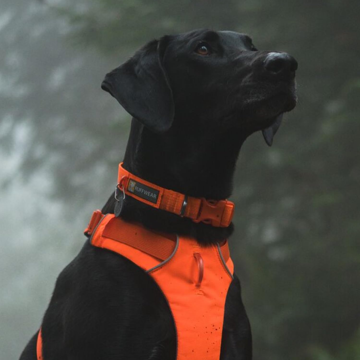 Ruffwear Front Range Collar tejido tubular suave que evita rozaduras