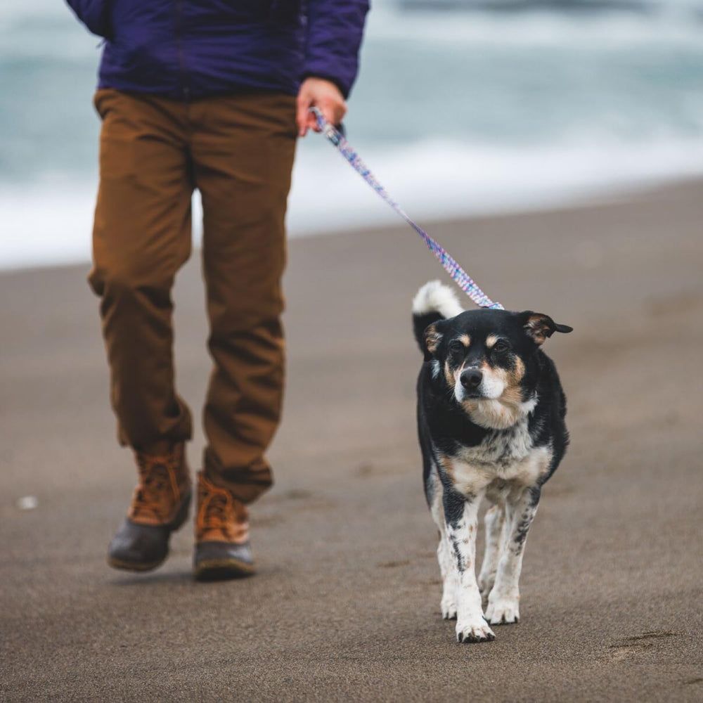Ruffwear Front Range con anilla para accesorios a mano
