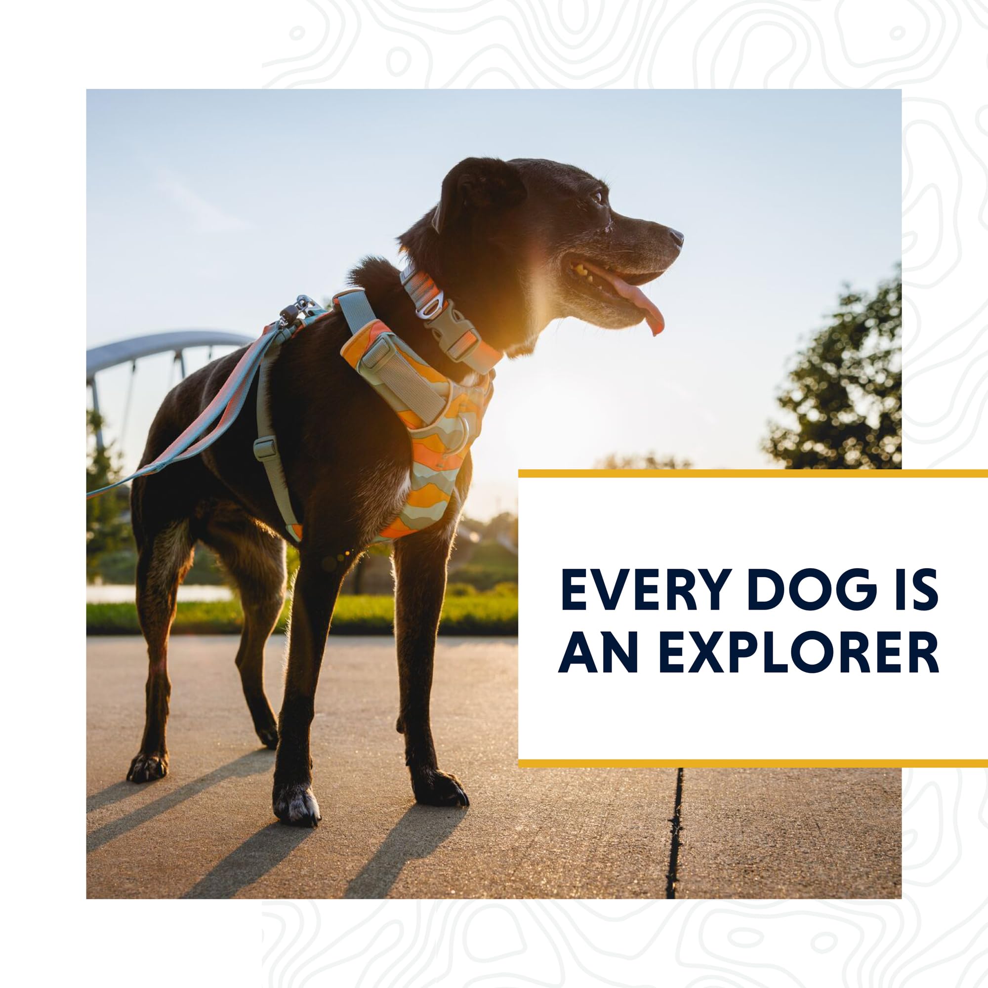 Ruffwear Front Range ideal para caminatas y paseo diario