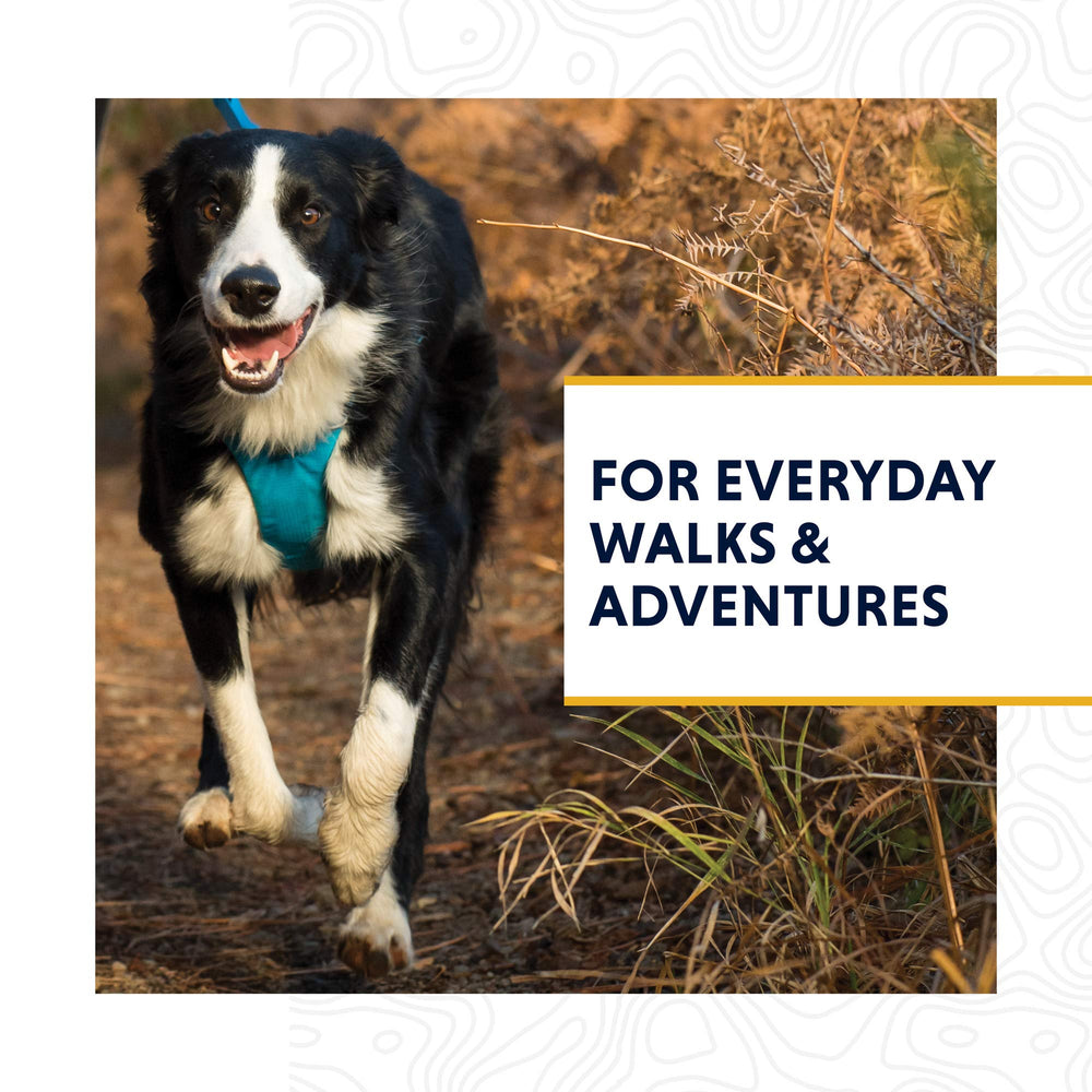 Ruffwear Front Range Leash, asa de tráfico, permite control rápido en momentos de cercanía