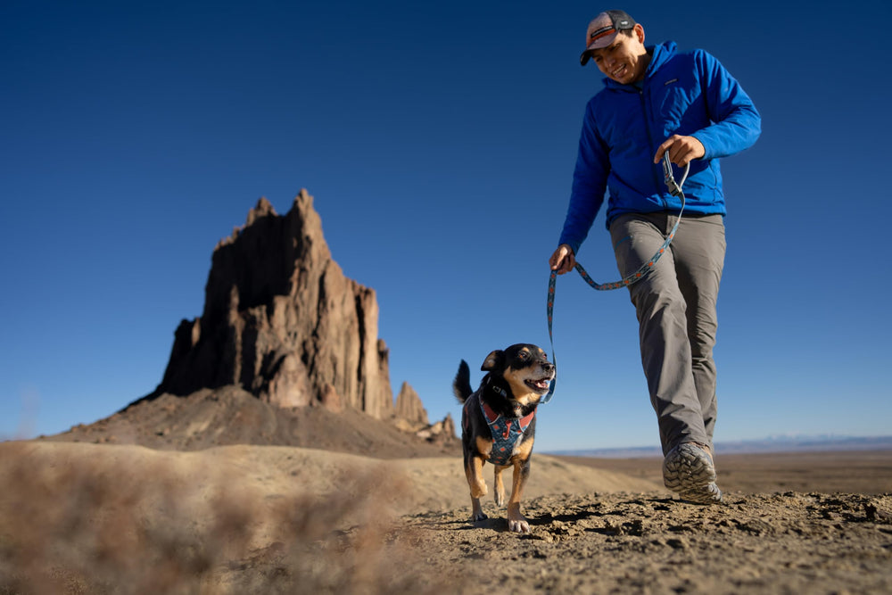 Ruffwear Front Range Leash: diseño brillante para mejor visibilidad