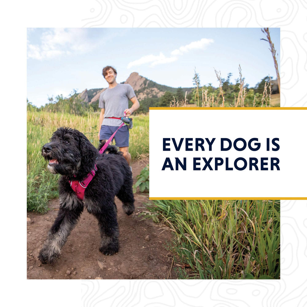 Ruffwear Front Range Leash: manija ergonómica para uso prolongado.