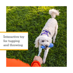Ruffwear Gourdo caucho natural, resistente para juegos intensos de perros.