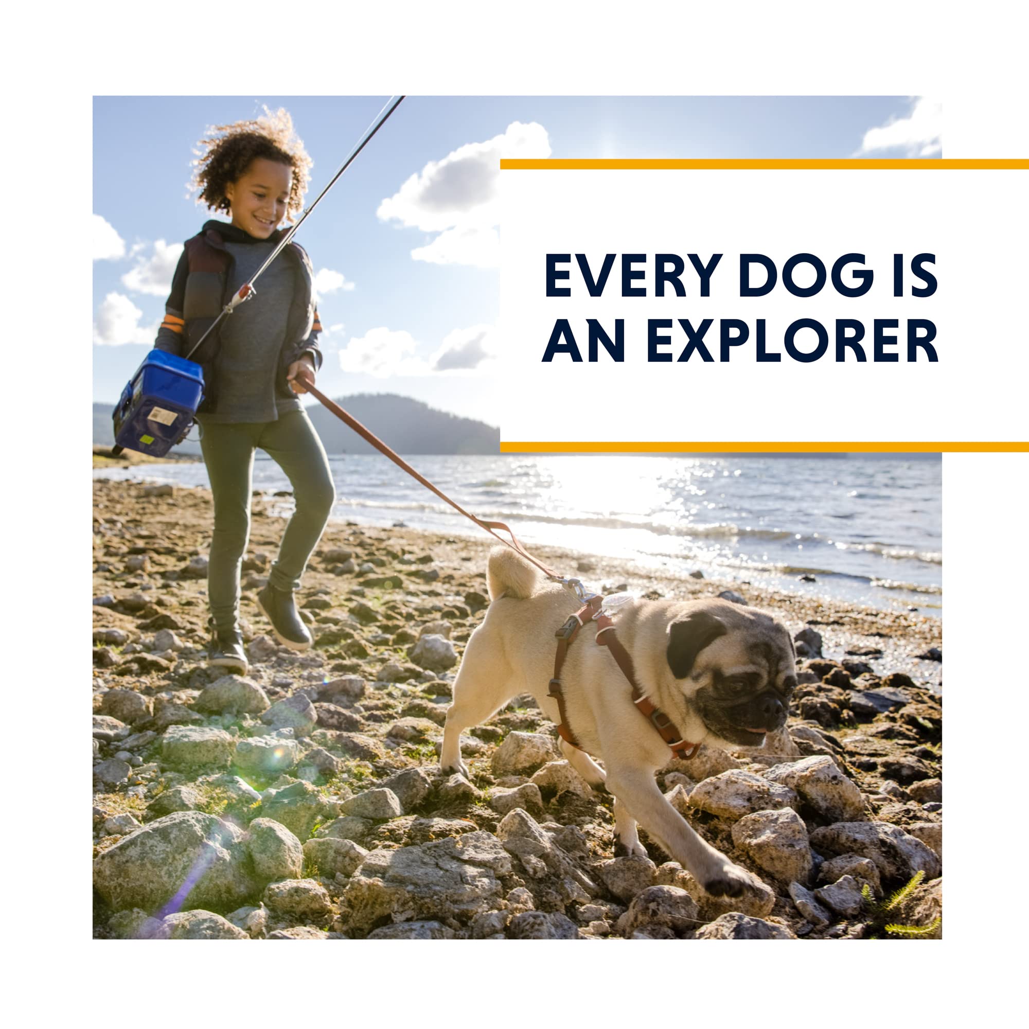 Ruffwear Grip Trex, ideal para paseos y senderismo en terreno mixto